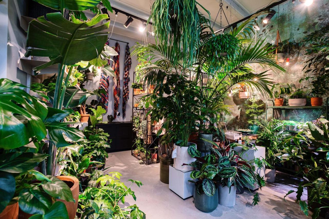 Daen'S Greenhouse Utrecht Ngoại thất bức ảnh